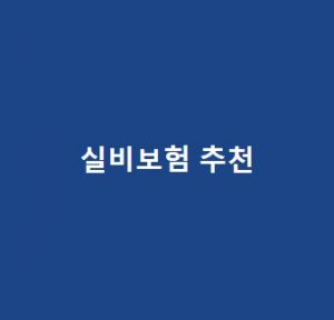 실비보험-추천