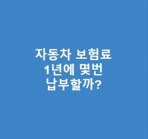 자동차-보험료-1년에-몇번-납부할까