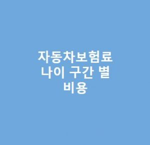 자동차보험료-나이-구간-별-비용-총정리20대-30대-40대-50대-등