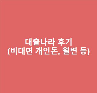 대출나라 후기(비대면 개인돈, 월변 등) - 이용 전 반드시 필독