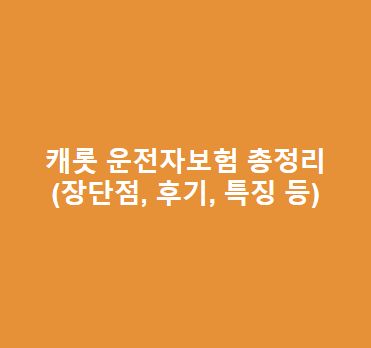 캐롯-운전자보험-장단점-후기-특징-총정리가입-전-필독