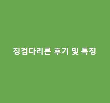 징검다리론-후기-및-특징-총정리이용-전-필독